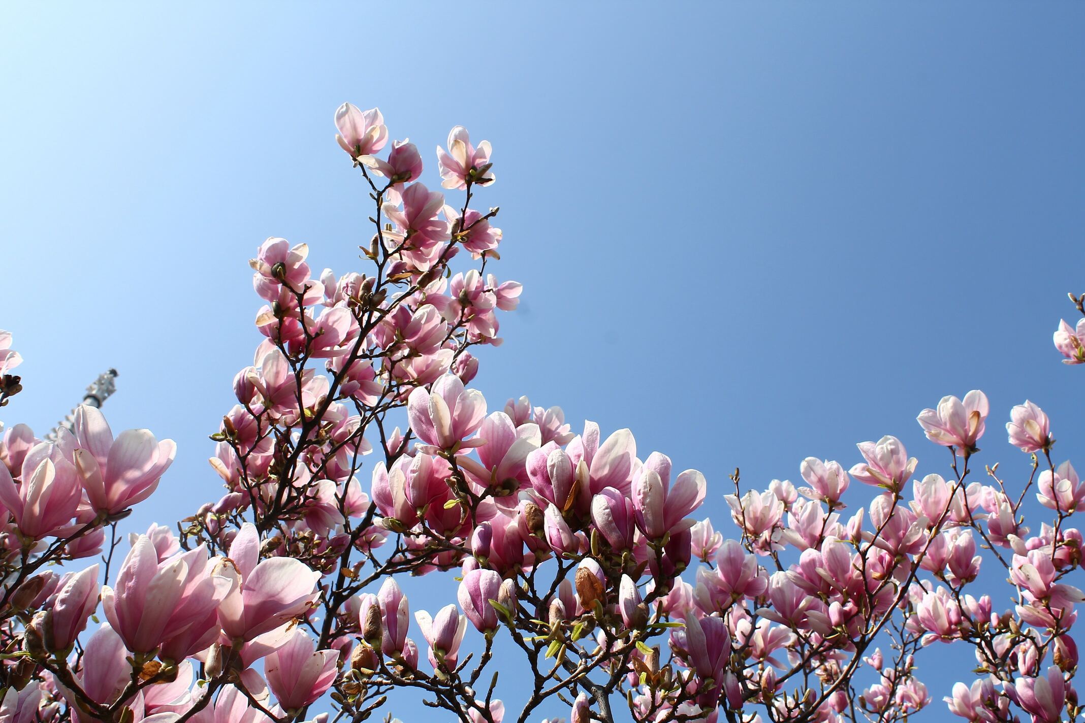 Feb
